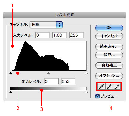 DTP制作 