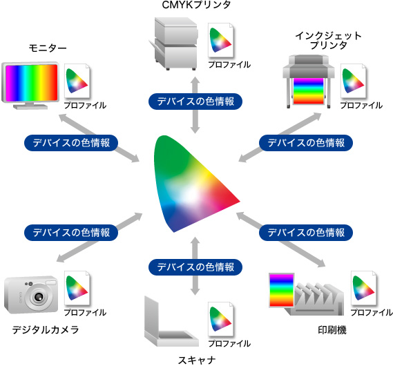 DTP制作 