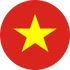 Viet Nam Flag