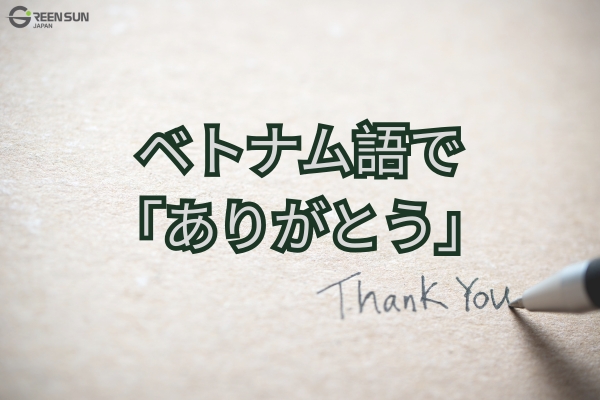 Thumbnail Image_How to Say Thank You in Vietnamese
