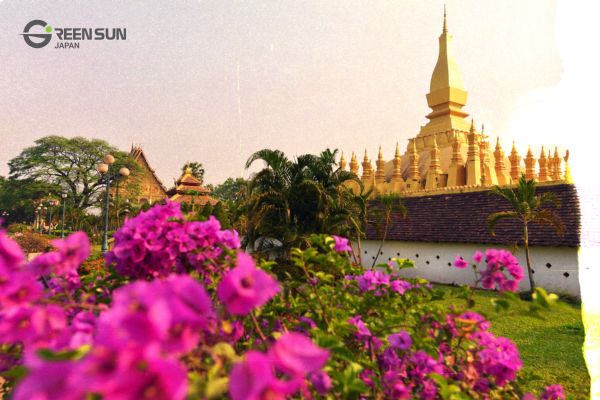 mid-professional-lao-translation-services