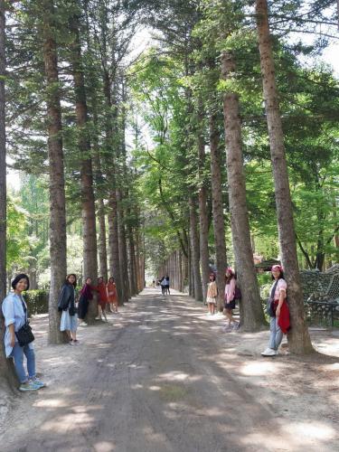 IMG 1581068402639 1581068898319